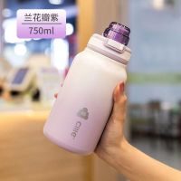 CILLE希乐保温杯316不锈钢男女学生成人户外运动时尚便携可伸缩吸管杯 XB23124兰花紫 750ml 1只