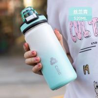 CILLE希乐保温杯316不锈钢男女学生成人户外大容量时尚简约便携吸管杯 XB23128丝兰青 520ml 1只