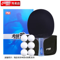 红双喜(DHS)乒乓球拍横拍天极蓝TB2双面反胶皮含拍包