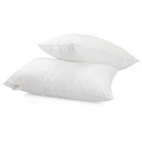 安巢家居(ANCHOW)羽丝枕头成人学生枕 酒店枕芯涤棉防羽布 高枕中枕低枕 单只装 五星假日羽丝单支装枕AW10221