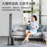 飞利浦(PHILIPS)无叶电风扇塔扇冷暖两用家用立式空气循环扇落地扇直流变频轻音遥控风扇 AHR5164FD黑色冷暖款