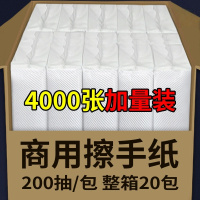 丽佳邦20包擦手纸商用整箱厨房纸巾酒店卫生间檫手纸洗手间抽纸全封包装 200抽/包 加大加厚尺寸