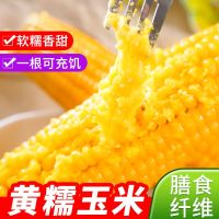 溢田和粮农业东北玉米220g黄糯玉米真空装 溢田黄糯玉米220g*8根