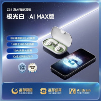 塞那Z30耳机挂耳式不入耳运动跑步降噪耳夹男标准版 极光白