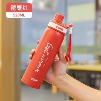 CILLE希乐保温杯316不锈钢内胆男女学生便携高颜值成人户外时尚杯子 XB23115粟红 520ml 1只