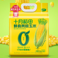 十月稻田(SHIYUEDAOTIAN)鲜食黄糯玉米1.32kg(220g*6)
