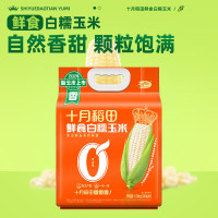 十月稻田(SHIYUEDAOTIAN)鲜食白糯玉米1.56kg(260g*6)