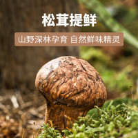 松鲜鲜松茸鲜调味料125g*2
