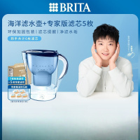 碧然德(BRITA)过滤净水器 家用滤水壶 净水壶 海洋系列 3.5L(蓝)+专家版滤芯5枚 环保加固包装