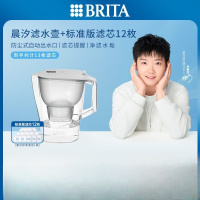 碧然德(BRITA)过滤净水器 家用滤水壶 Kalea 晨汐系列XL 3.5L(灰)+多效滤芯12枚(含组套)