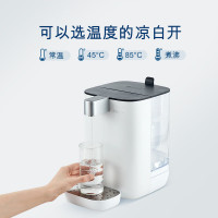 碧然德(BRITA) 台面净饮机即热直饮调温免安装台式净水器 白色 +专家版滤芯6枚[含附件]
