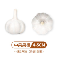 鹤来香山东大蒜干蒜白皮金乡紫皮鲜蒜瓣当季新货 中果[500g]*2