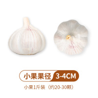 鹤来香山东大蒜干蒜白皮金乡紫皮鲜蒜瓣当季新货 小果[500g]*2