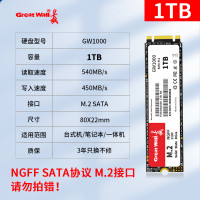 长城(Great Wall)1TB SSD固态硬盘 M.2接口SATA协议 读速540MB/S GW1000系列