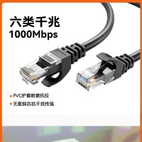 智川天宏六类CAT网线 千兆网络高速连接线 3m (2个装)