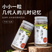 来伊份蜜饯果干办公室解馋零食 盐津枣(罐装)48g