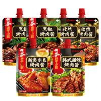 海底捞烤羊肉串烤羊排调味酱 多种口味烤肉酱
