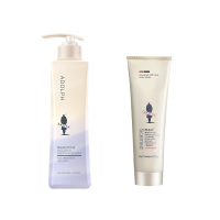 阿道夫魅力经典420mlD06+阿道夫焗油宝260g