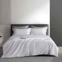 简·色生活 甄选抗菌桑蚕丝冬被 200cm×230cm