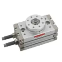 旋转气缸 WGP01-2-R-M-2 2周