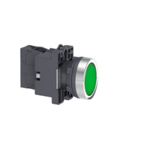 SND 平头带灯按钮 XA2EW33B1 绿色24V AC/DC-1NO 10个起订 货期一周
