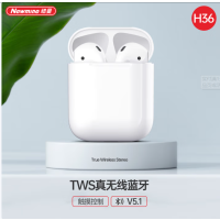 纽曼Newmine H36 TWS无线双耳蓝牙5.1耳机 白色 货期1周