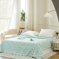 罗曼罗兰 凉感丝夏被 200*230cm [百草柔香]