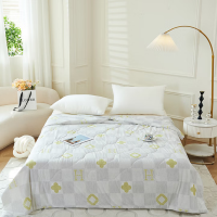 罗曼罗兰 凉感丝夏被 200*230cm[香奈格]