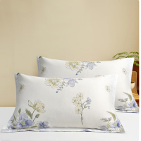 罗曼罗兰 全棉枕套 一对装 48*74cm *2[淡妆初夏]
