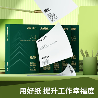 得力(deli)辉铂A4打印纸 80g500张*5包一箱 双面加厚 顺滑打印复印纸 整箱2500张7787