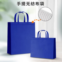 四万公里10个装蓝色无纺布袋子加厚购物环保袋包装袋手提袋环保袋 竖款大号35*41*12