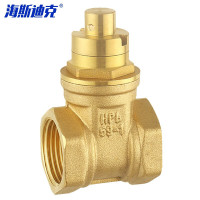海斯迪克 HKDP-194 黄铜锻压磁性锁闭闸阀 自来水内螺纹防盗锁闭阀(不含钥匙) DN15