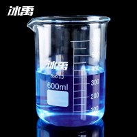 冰禹 BYrl-199 高硼硅玻璃烧杯 耐高温刻度杯 600ml 2个/箱