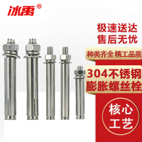 冰禹 膨胀螺栓 BY-302 304不锈钢 无缝 M12*150 25个 1包