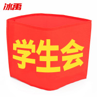 冰禹 红袖章配别针 BYaf-527 21*14cm 学生会 15个 1件