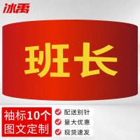 冰禹 红袖章配别针 BYyq-131 21*14cm 班长 10个 1件