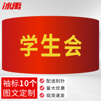 冰禹 红袖章配别针 BYyq-131 21*14cm 学生会 10个 1件