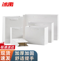 冰禹 手提纸袋包装袋 BYlj-205 白卡纸 27*8*21cm 横款 1个