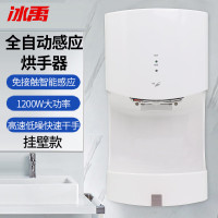 冰禹 全自动干手器 BYQ-903 挂壁式烘手机 冷热款 1个