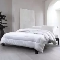 水星家纺 依兰负离子_x000b_抗菌被