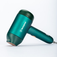 西屋手持挂烫机WH-PG006B