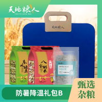 天地粮人防暑降温礼包B 3746g