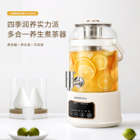 艾青春 3升大容量养生壶 AI-YSH888(带滤网)