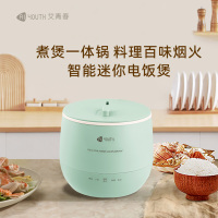 艾青春 迷你电饭锅WT-16E