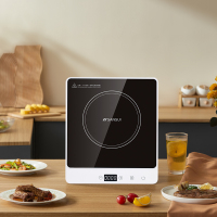 山水触摸款电磁炉 SC-22X20