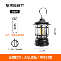 飞图乐 户外复古照明灯 曜石黑LYD0102