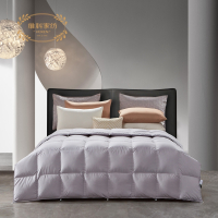 维科家纺-舒暖鹅净芯被VBBZ91520-0.38LP