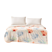 罗莱家纺超柔彩韵A类云柔毯180×200cm×280GSM