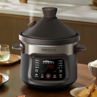 九阳沸炖电炖锅DG40K-GD993