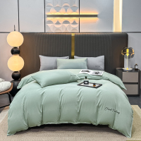 杉杉(FIRS)QFS- 25019 轻奢尚品四件套 —艾米(薄荷绿).